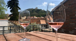 Mikulov wine trip